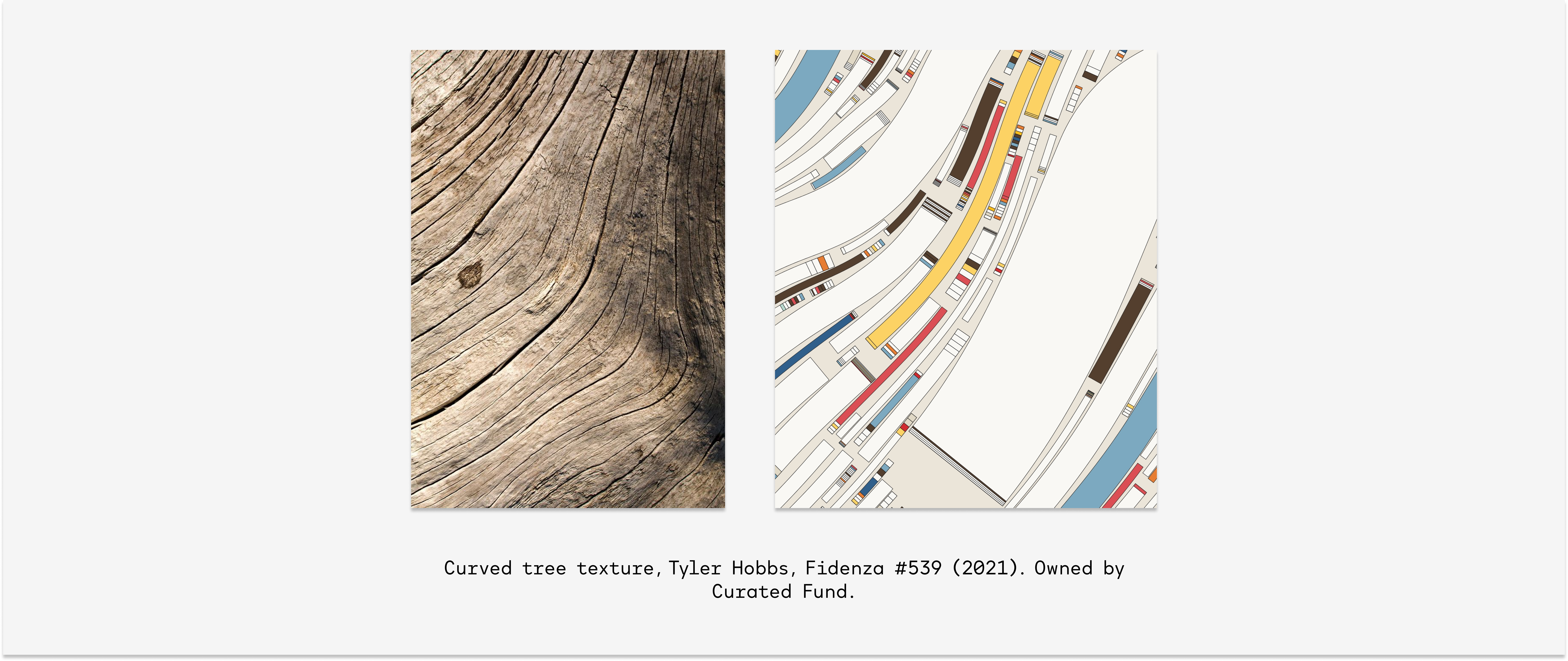 Curved tree texture, Tyler Hobbs, Fidenza #539 (2021).png