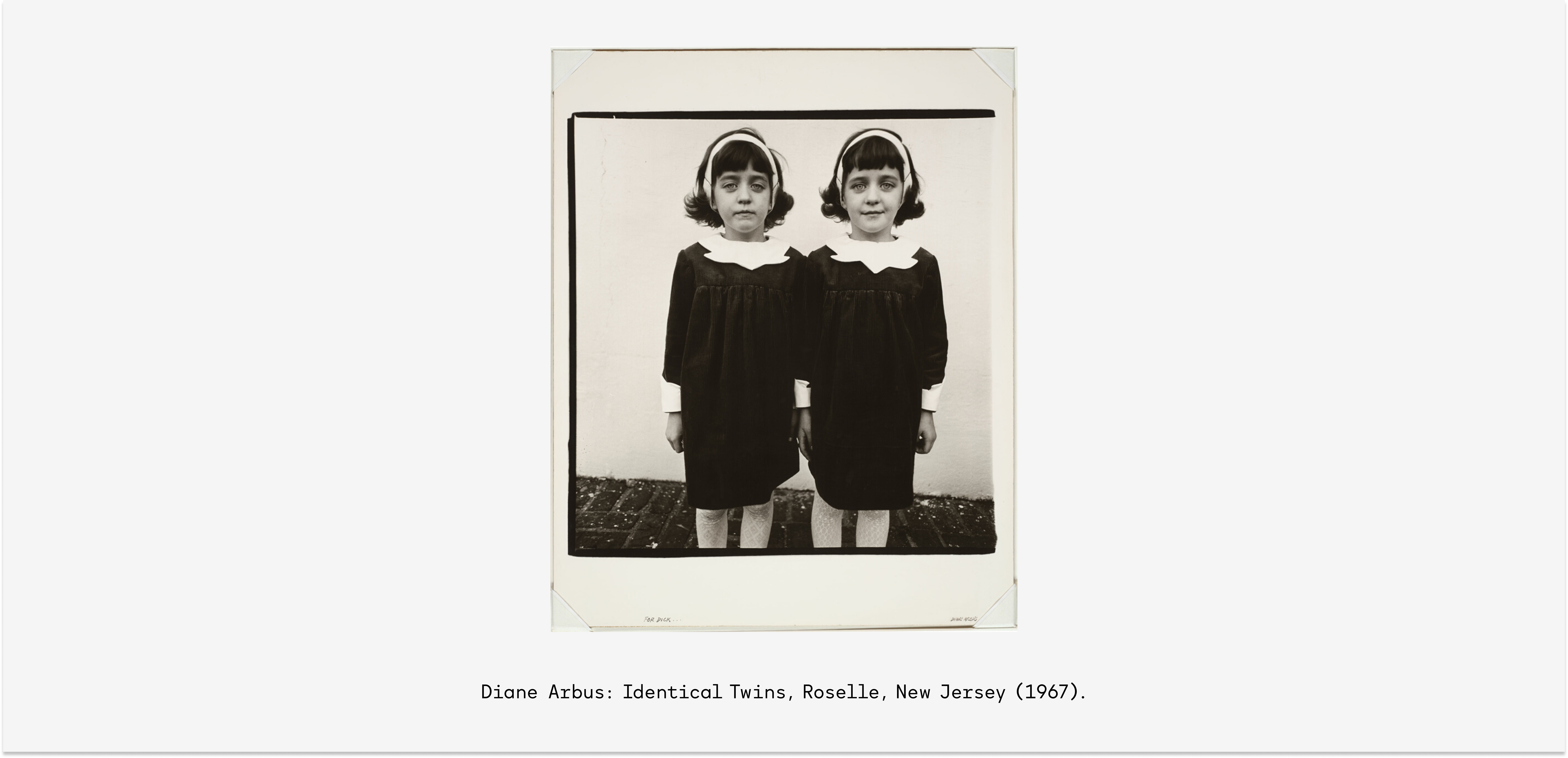 new Diane Arbus_ Identical Twins, Roselle, New Jersey (1967).jpg