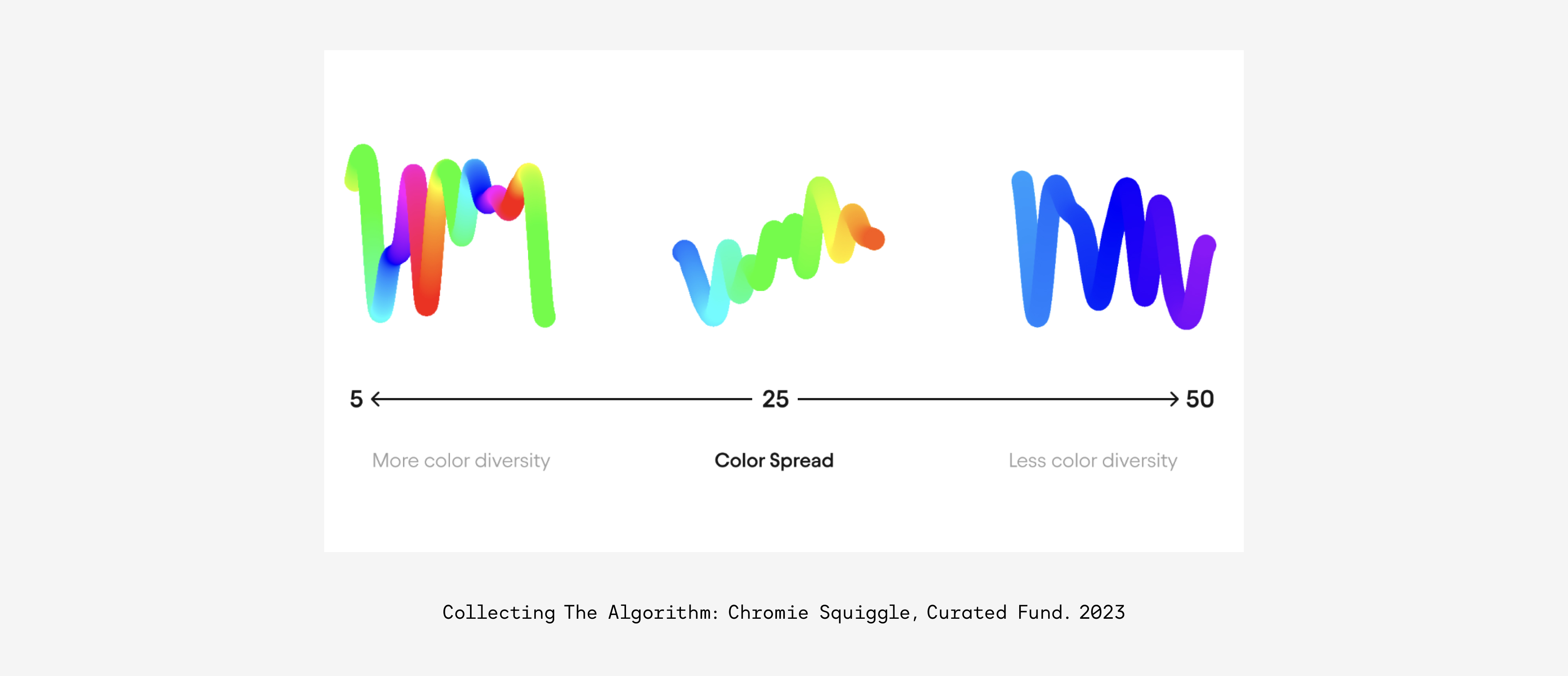 squiggle spread.jpg